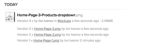 File Version Control